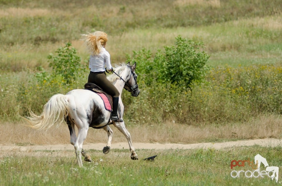 Parada la Campionatul European de Rodeo, Băile Felix