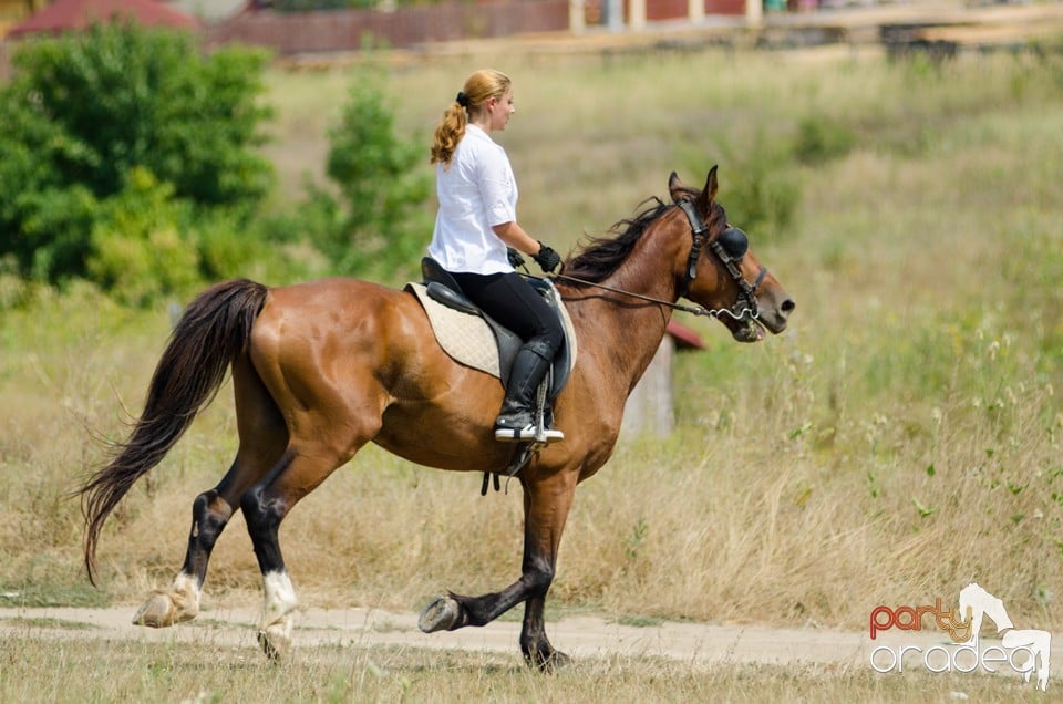 Parada la Campionatul European de Rodeo, Băile Felix