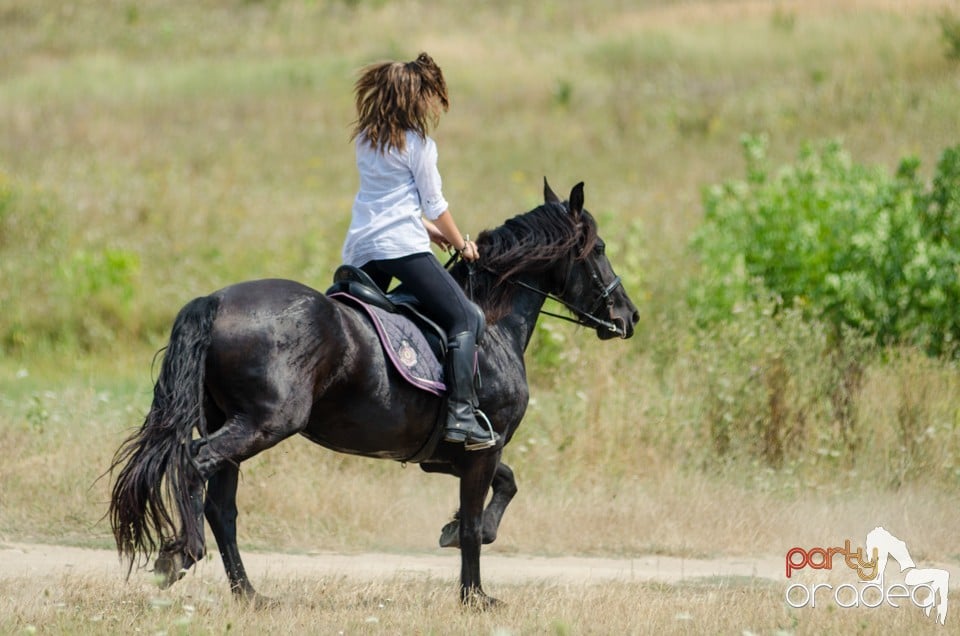 Parada la Campionatul European de Rodeo, Băile Felix