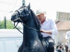 Parada la Campionatul European de Rodeo