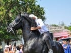 Parada la Campionatul European de Rodeo