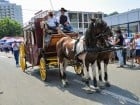 Parada la Campionatul European de Rodeo