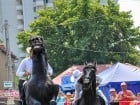 Parada la Campionatul European de Rodeo