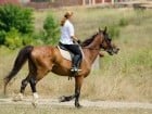 Parada la Campionatul European de Rodeo