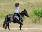 Parada la Campionatul European de Rodeo