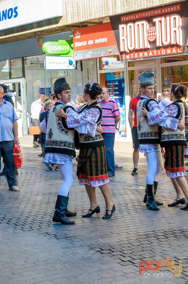 Paradă populară, Oradea