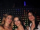 Party cu Roboman în The One