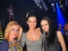 Party cu Roboman în The One