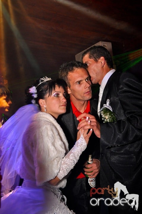 Party în Disco Faház,