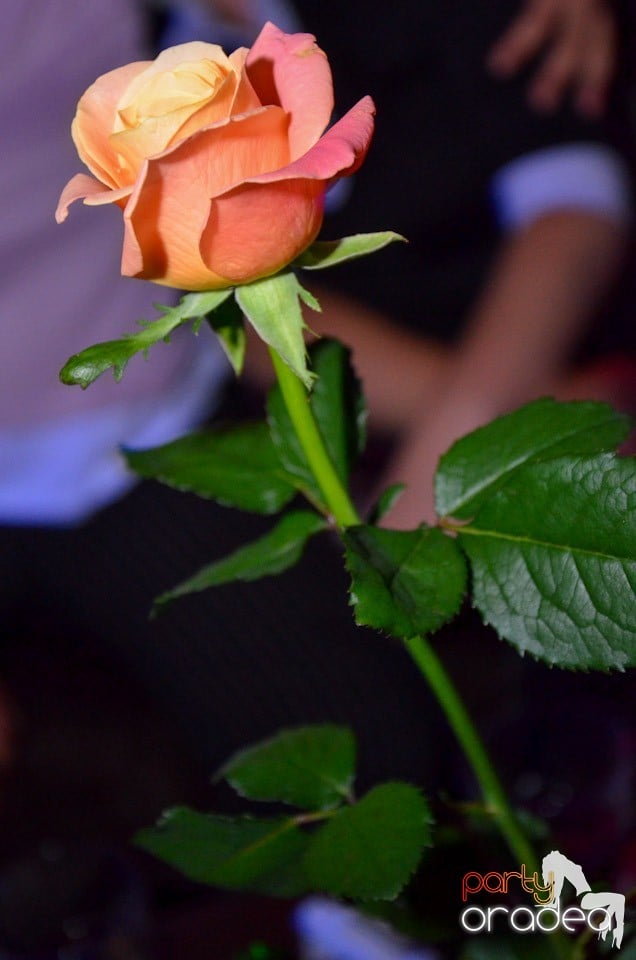 Petrecere Beer Night în Club Escape, 