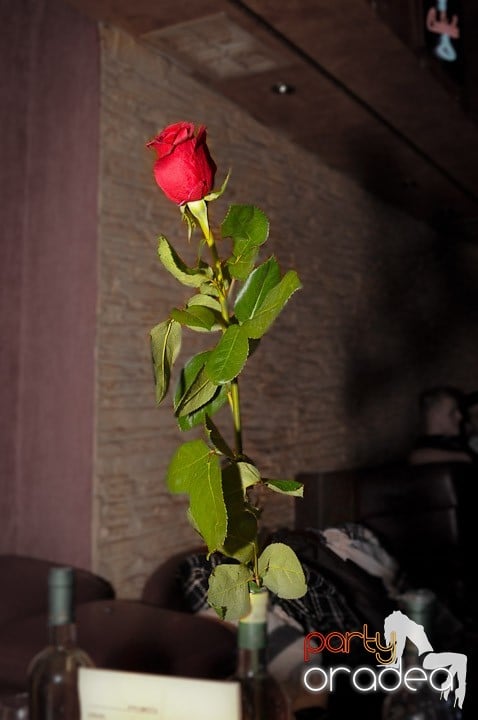 Petrecerea continuă în Downtown, 