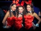 Playboy Party