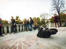 Pregătiri pentru Nymphea Dance