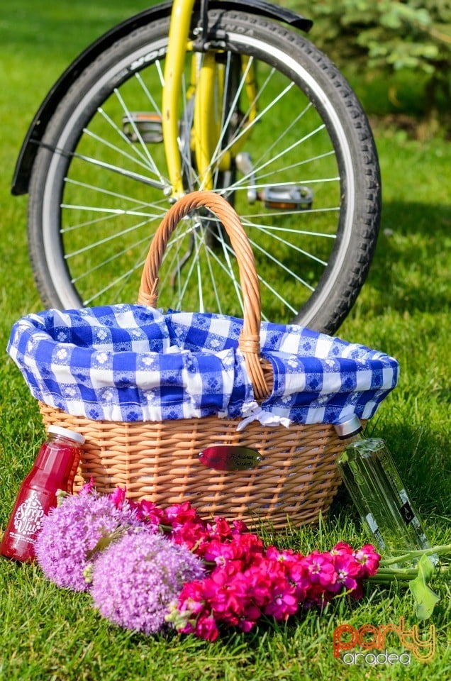 Pregătiri pentru Skirt Bike, Oradea