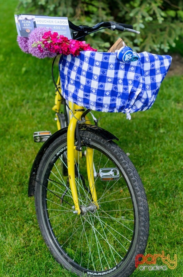 Pregătiri pentru Skirt Bike, Oradea