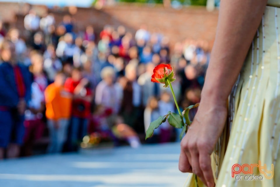 Prezentare de haine antice, Oradea