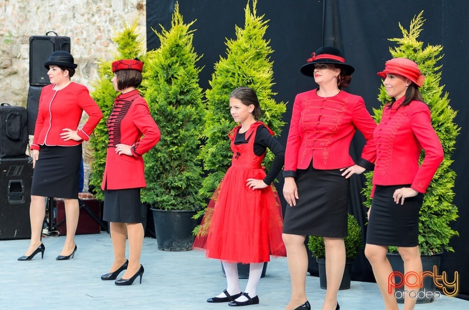 Prezentare de haine antice, Oradea