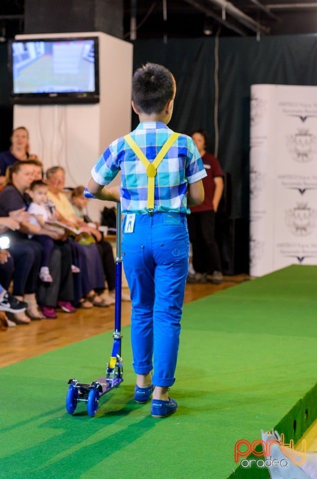 Prezentare de modă,