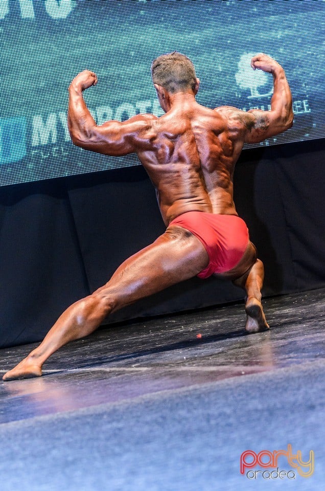 Pro Mar Strong Grand Prix 2015, Olimp Sport Nutrition