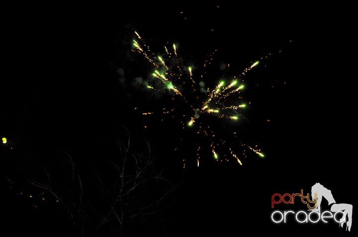 Revelion-in-no-problem-artificii-2,