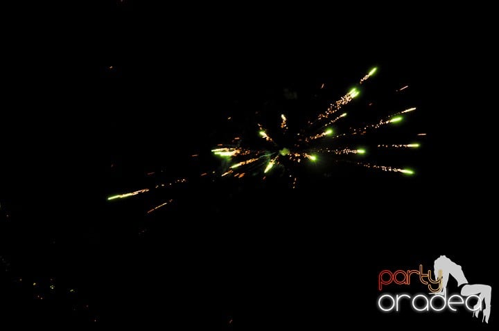 Revelion-in-no-problem-artificii-3,