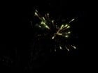 Revelion-in-no-problem-artificii-2