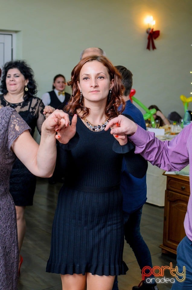 Revelion la Hotel Nufărul, Hotel Nufărul