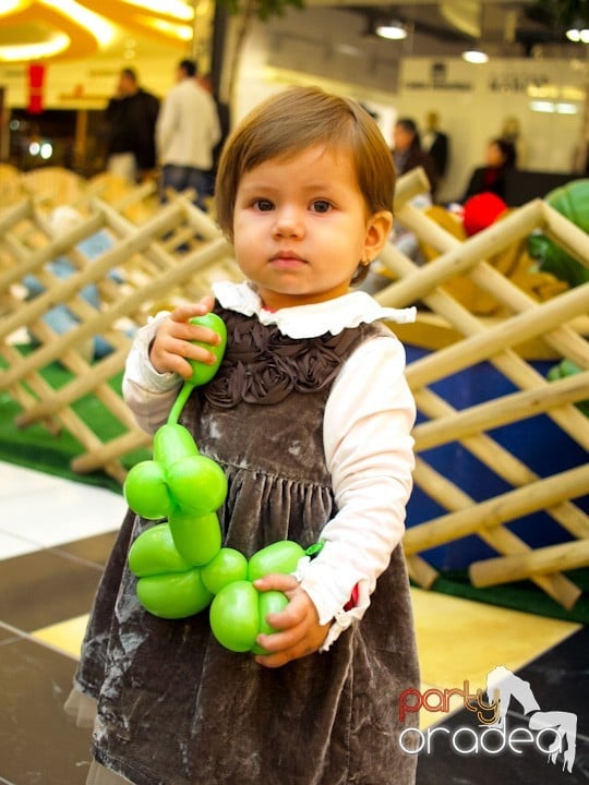 Revelionul copiiilor în Era Shopping Park, Era Shopping Park