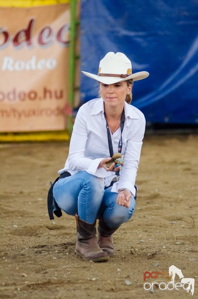 Campionat European de Rodeo, Băile Felix