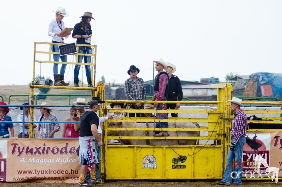 Campionat European de Rodeo, Băile Felix