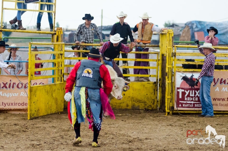 Campionat European de Rodeo, Băile Felix