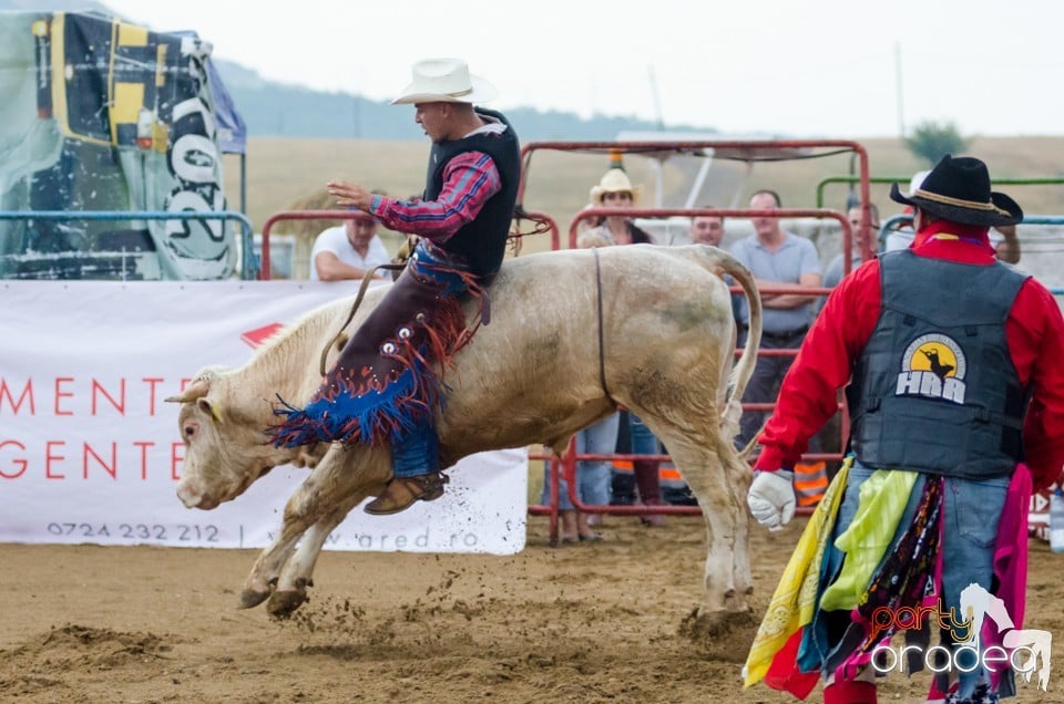 Campionat European de Rodeo, Băile Felix