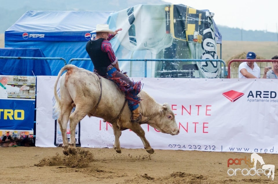 Campionat European de Rodeo, Băile Felix