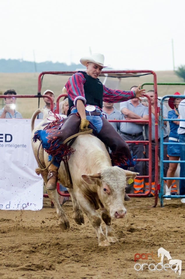 Campionat European de Rodeo, Băile Felix