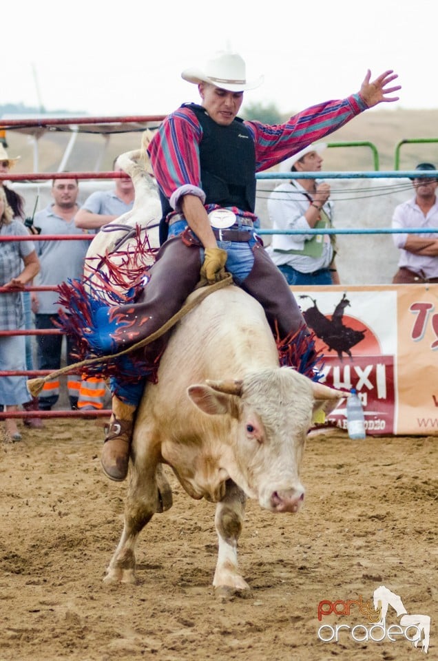 Campionat European de Rodeo, Băile Felix