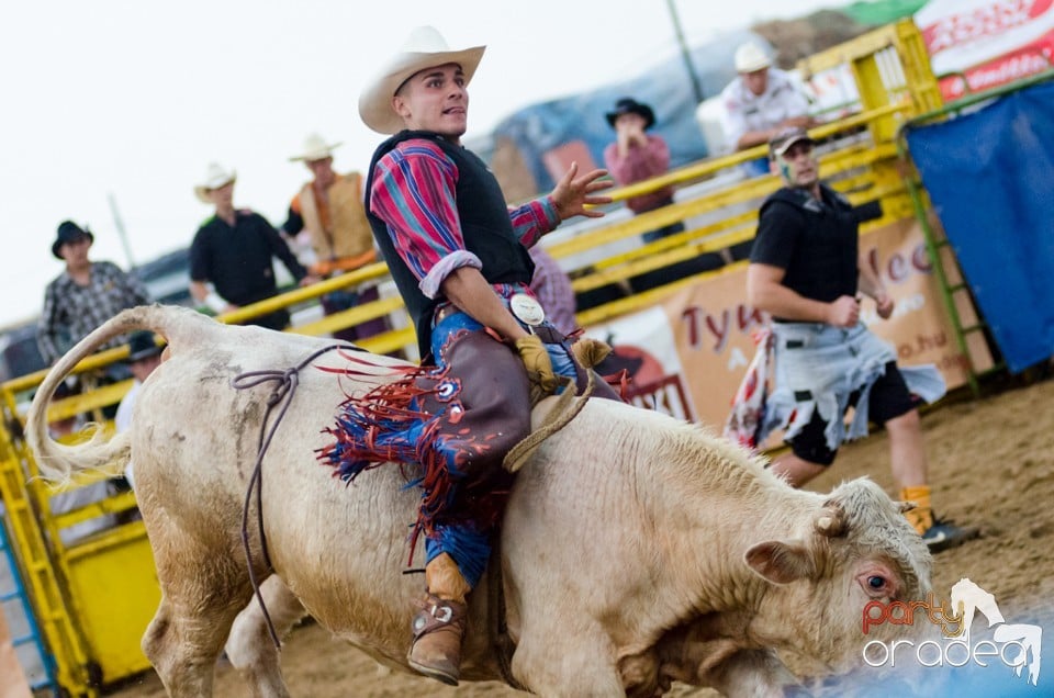 Campionat European de Rodeo, Băile Felix