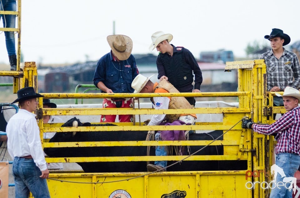 Campionat European de Rodeo, Băile Felix