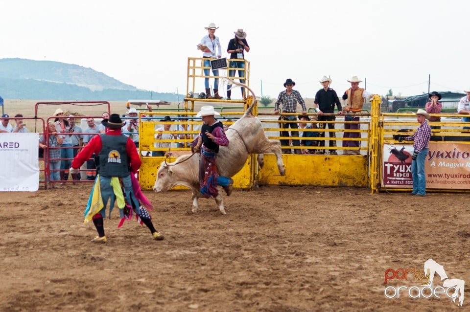 Campionat European de Rodeo, Băile Felix