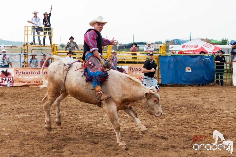 Campionat European de Rodeo, Băile Felix