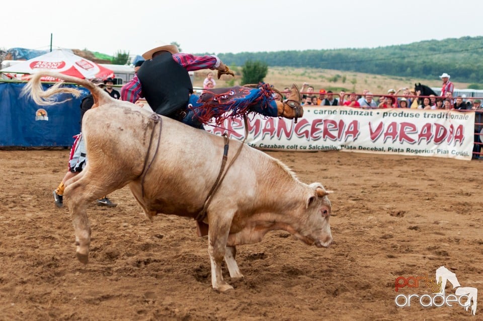 Campionat European de Rodeo, Băile Felix