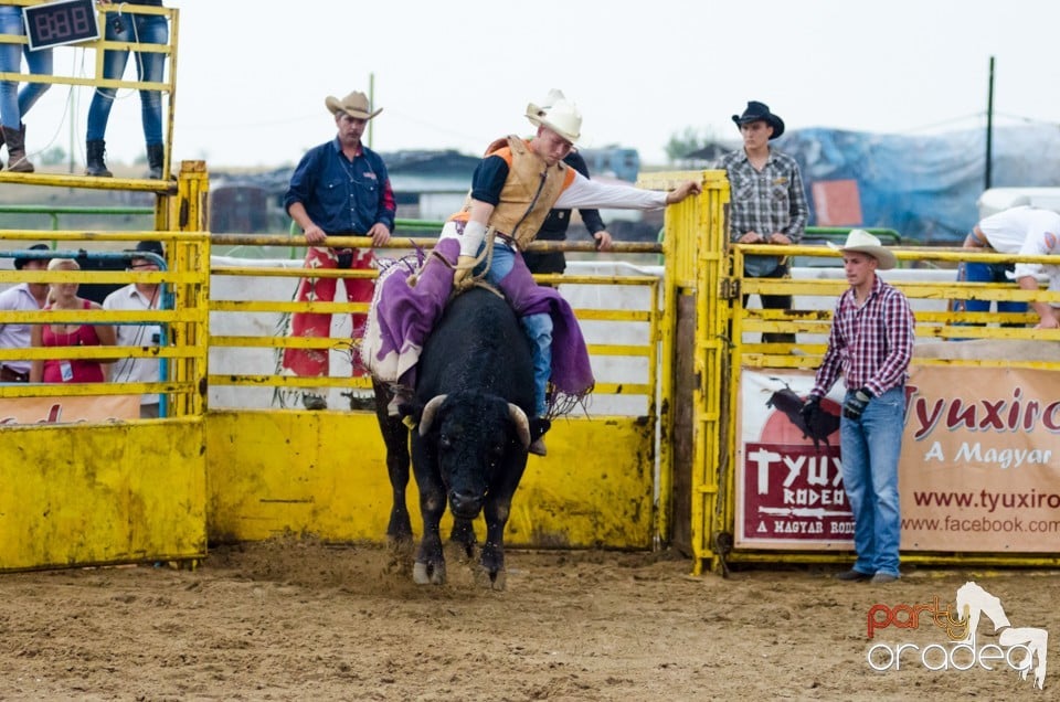 Campionat European de Rodeo, Băile Felix