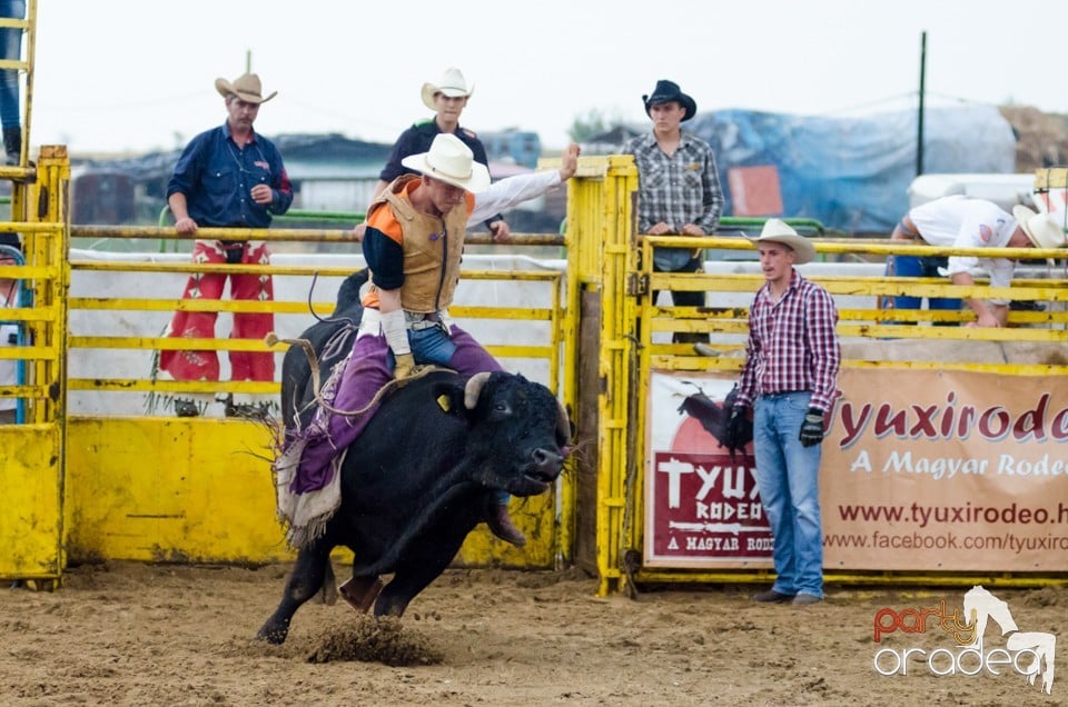 Campionat European de Rodeo, Băile Felix