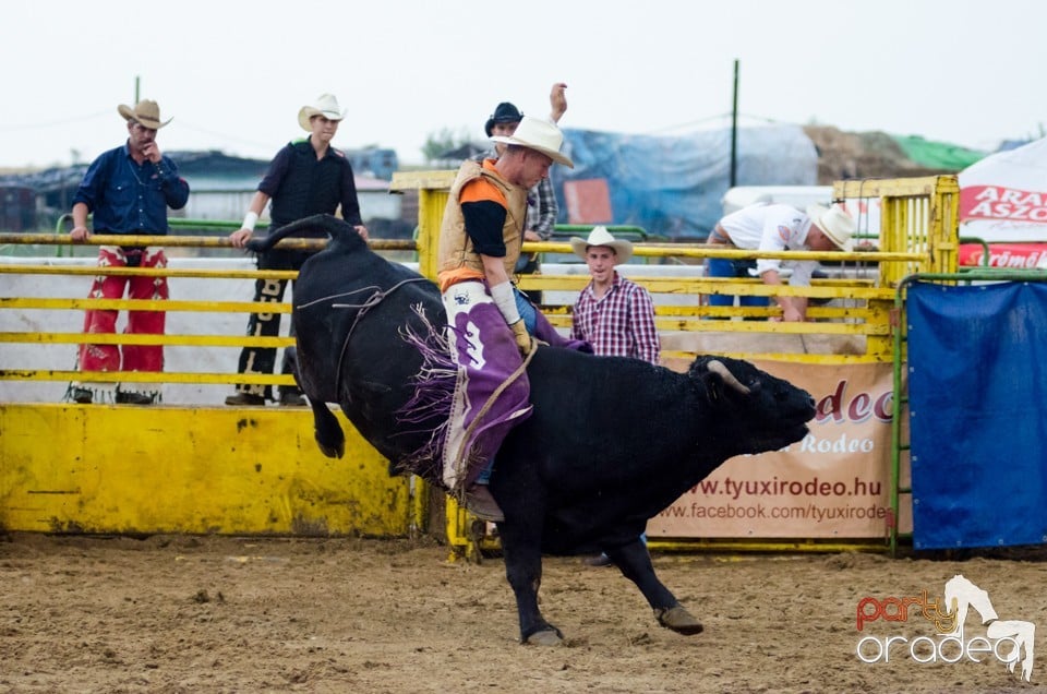 Campionat European de Rodeo, Băile Felix