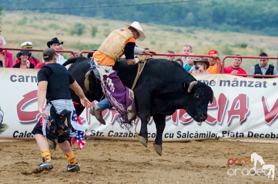 Campionat European de Rodeo, Băile Felix