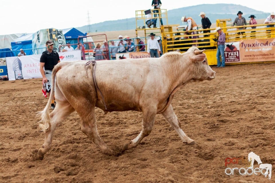 Campionat European de Rodeo, Băile Felix