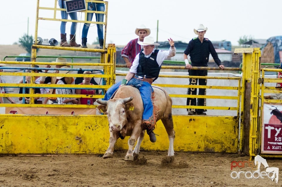 Campionat European de Rodeo, Băile Felix