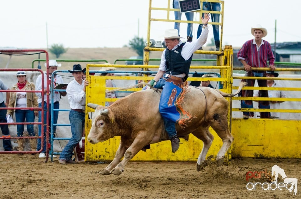 Campionat European de Rodeo, Băile Felix