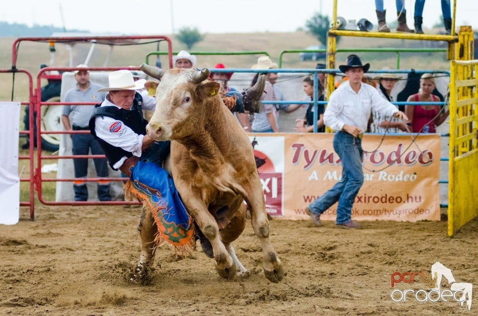 Campionat European de Rodeo, Băile Felix