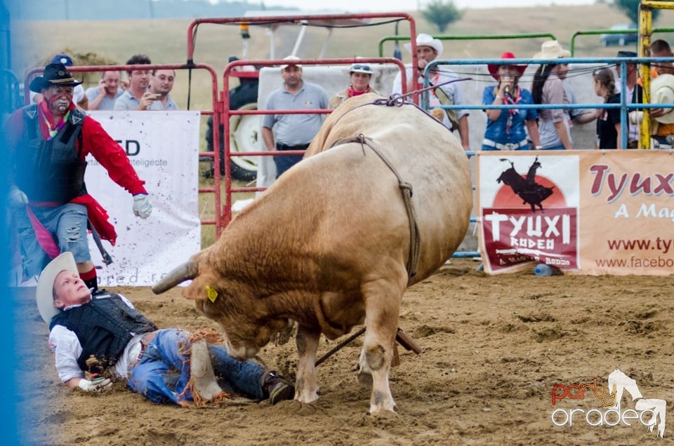 Campionat European de Rodeo, Băile Felix