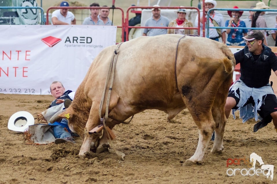 Campionat European de Rodeo, Băile Felix